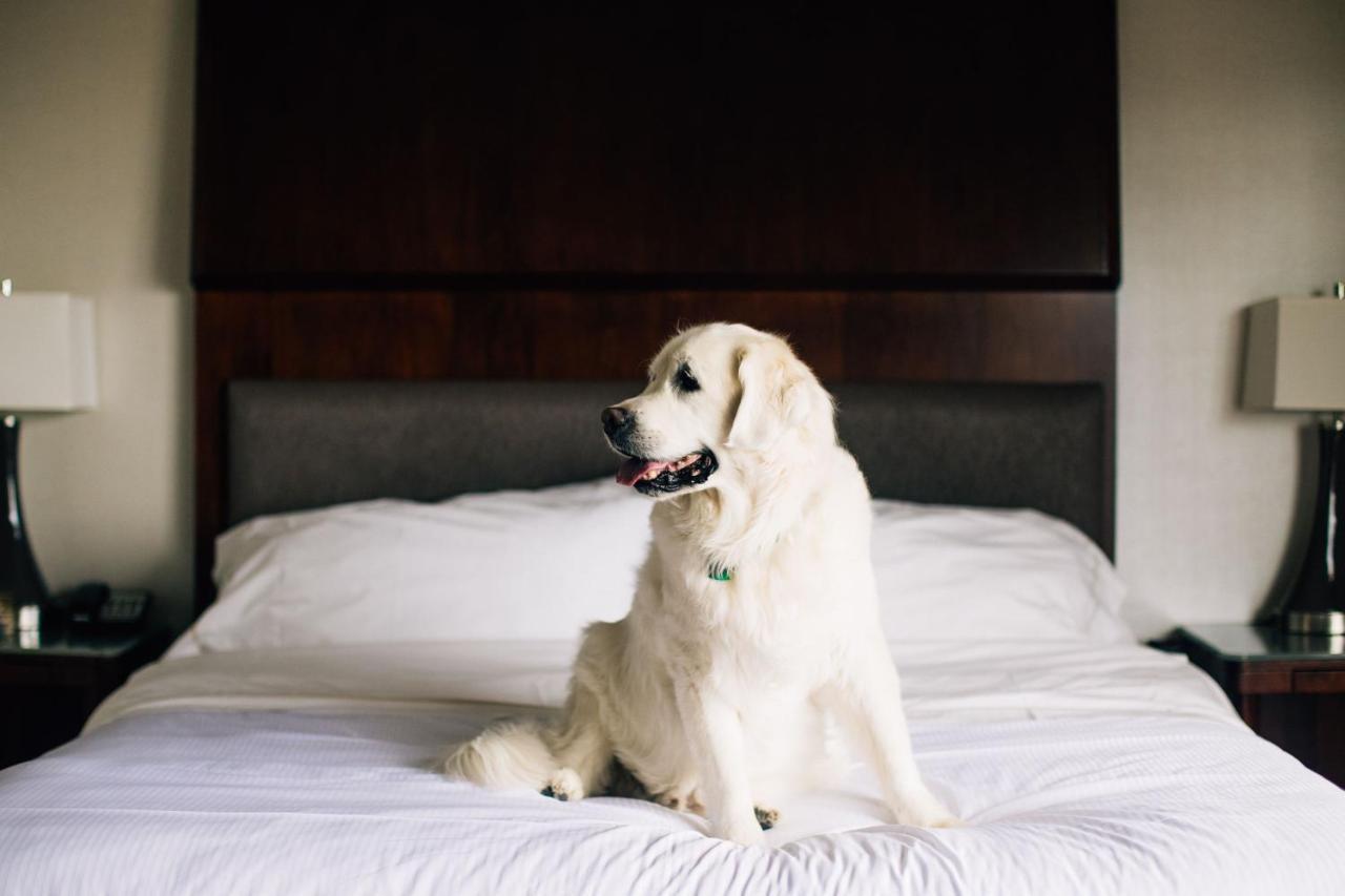 The Westin Seattle Ξενοδοχείο Εξωτερικό φωτογραφία